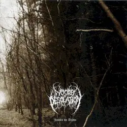 Toward the Depths by Woods of Desolation