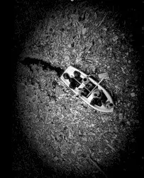 Under Plastic Island by Jessica Moss