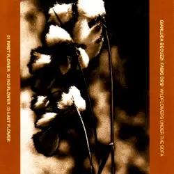 Wild Flowers Under the Sofa by Gianluca Becuzzi ,Fabio Orsi