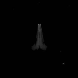 UNTITLED (Rise) by SAULT