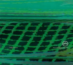 Morphogenetic Fields by Atom Heart