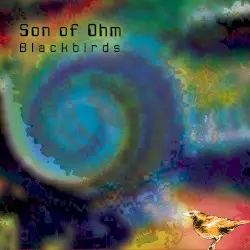 Blackbirds by Son of Ohm