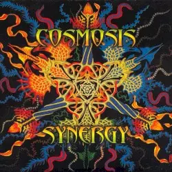 Synergy by Cosmosis