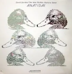 Anatidae by David Borden
