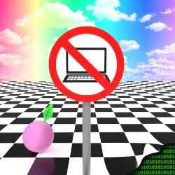 Reality Is Not a Computer Simulation by Stevia Sphere