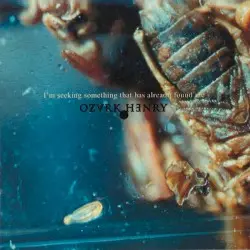 I’m Seeking Something That Has Already Found Me by Ozark Henry