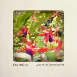 Song of the Hummingbird by Bing Satellites