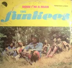 Now I'm A Man by The Funkees