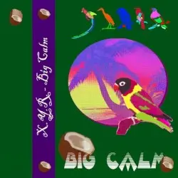 Big Calm by X.Y.R.