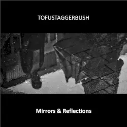 Mirrors and Reflections by Tofustaggerbush