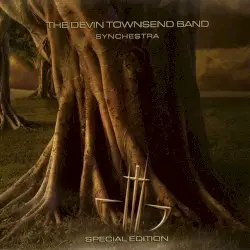 Synchestra by The Devin Townsend Band