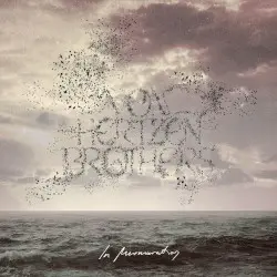 In Murmuration by Von Hertzen Brothers