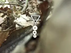 I Felt I Was Followed by Phyllomedusa