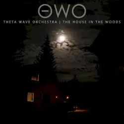 The House in the Woods by Theta Wave Orchestra