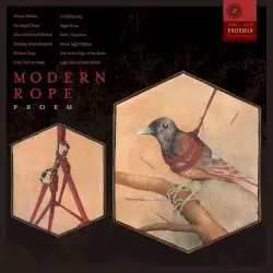 Modern Rope by Proem