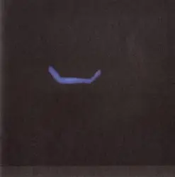 Light Forms (Music for Light Bulbs and Churches) by Steve Roden