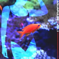 AquaPulse Vol. 1 by Ｆｕｔｕｒｅ░Λｑｕａｒｉｕｍｓ░ＬＴＤ