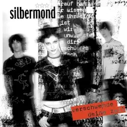 Verschwende deine Zeit by Silbermond