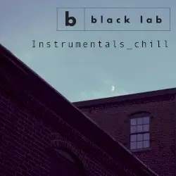 Instrumentals_chill by Black Lab
