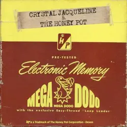 Electronic Memory by Crystal Jacqueline & The Honey Pot