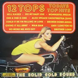 12 Tops – Todays Top Hits by [unknown]