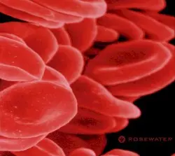Bloodcount by Rosewater