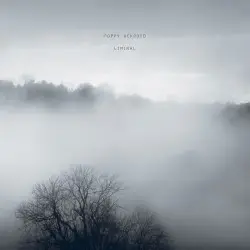 Liminal by Poppy Ackroyd