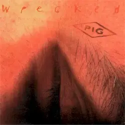 Wrecked by PIG