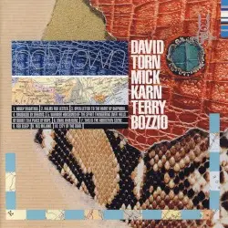 Polytown by David Torn, Mick Karn & Terry Bozzio