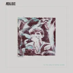 For the Sake of Bethel Woods by Midlake