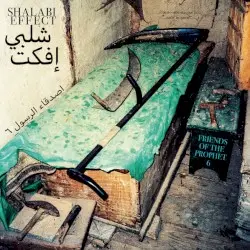Friends of the Prophet 6 by Shalabi Effect