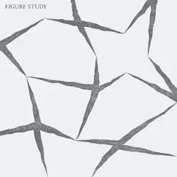 Figure Study by Figure Study