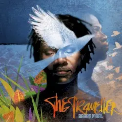 The Traveller by Baaba Maal