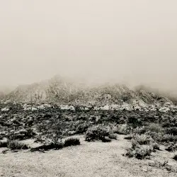 Mnemonic: Ambient Mosaic by Mizmor