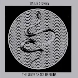 The Silver Snake Unfolds by Wailin Storms