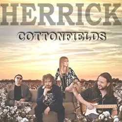 Cottonfields by Herrick