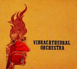 Wisdom Thunderbolt by Vibracathedral Orchestra