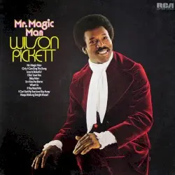 Mr. Magic Man by Wilson Pickett