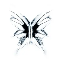 Lepidoptera by V0Xx
