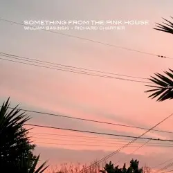 Something From the Pink House by William Basinski & Richard Chartier