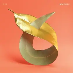 New Spirit by PVT