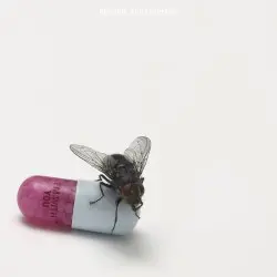 I’m With You by Red Hot Chili Peppers