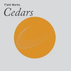 Cedars by Field Works