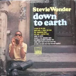 Down to Earth by Stevie Wonder
