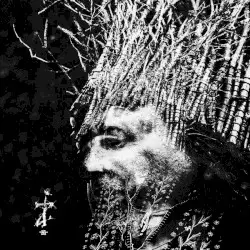 ZI by Negură Bunget