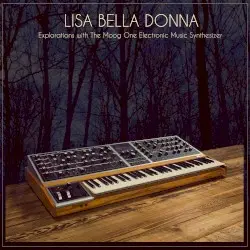 Transformers by Lisa Bella Donna