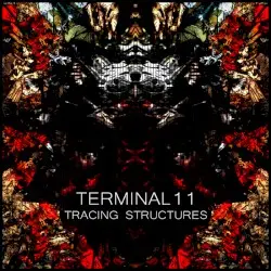 Tracing Structures by Terminal 11