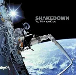 You Think You Know by Shakedown