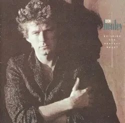 Building the Perfect Beast by Don Henley