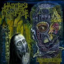 Dead Revolution by Hammers of Misfortune